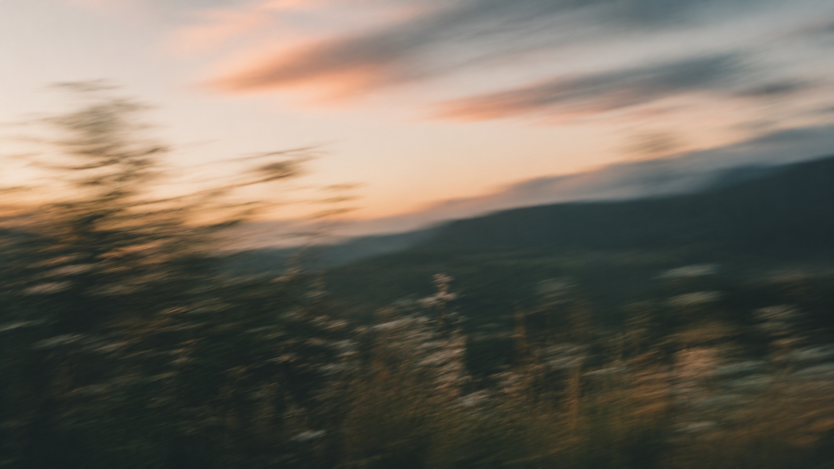 Blurred Beauty wallpaper